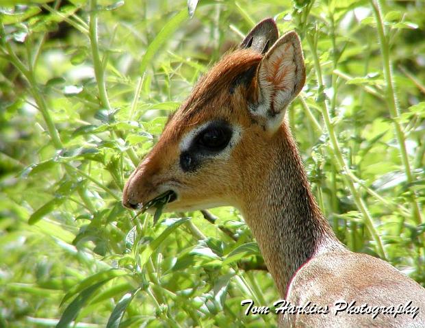 Hey Im trying to eat here.jpg